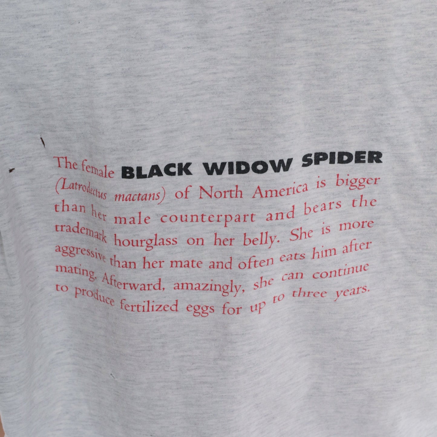 90s Black Widow Spider Graphic T-Shirt Grey Cotton Single Stitch Extra Large