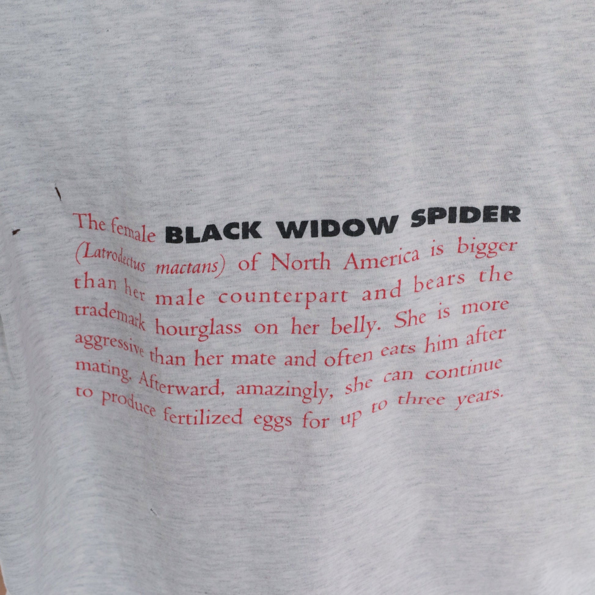 90s Black Widow Spider Graphic T-Shirt Grey Cotton Single Stitch Extra Large