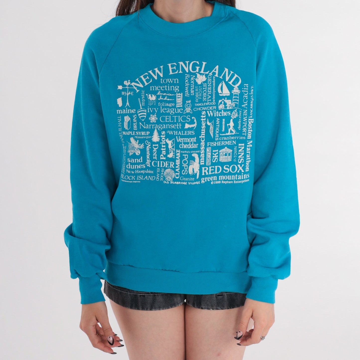 80s New England Raglan Sweatshirt Blue Graphic Crewneck Large