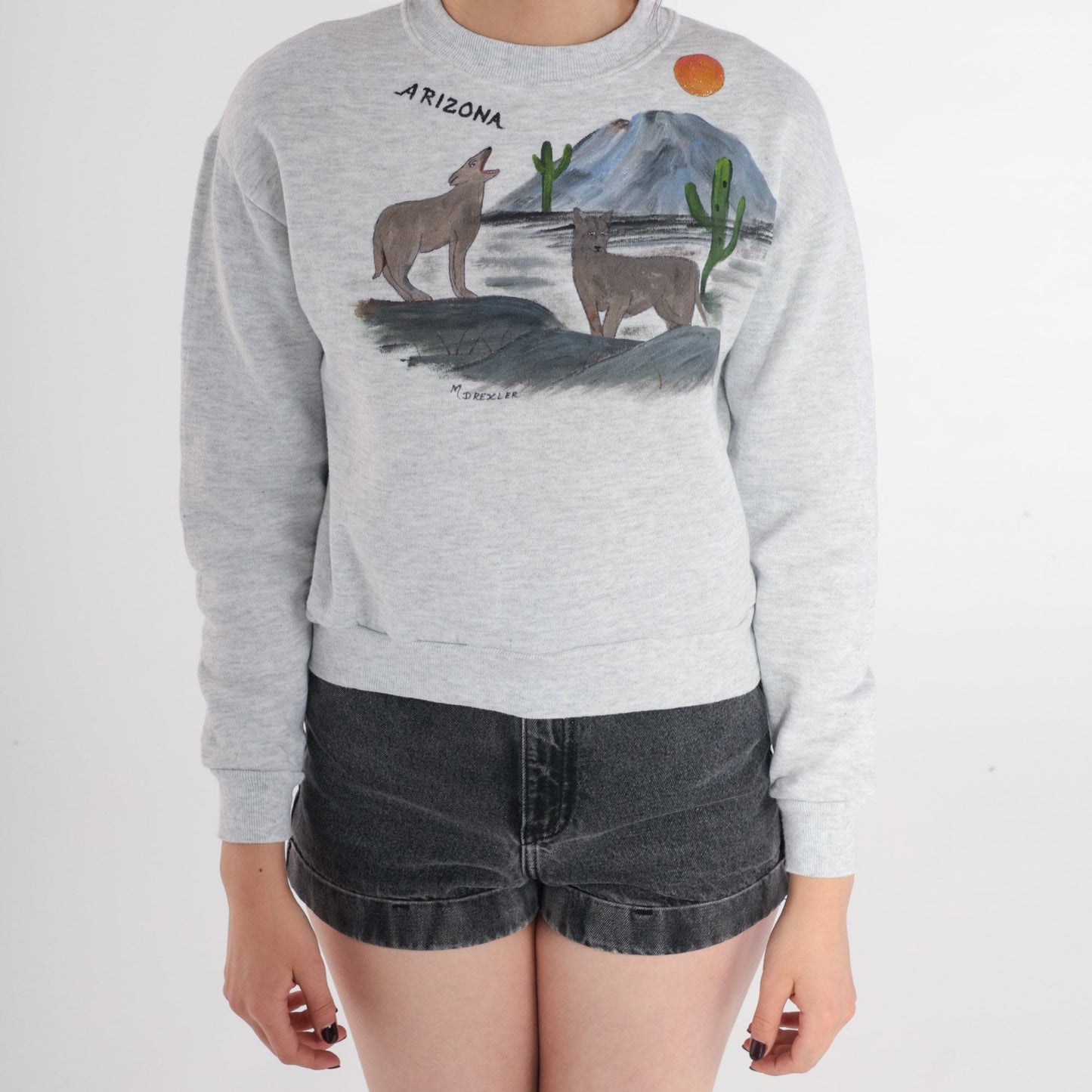 90s Arizona Desert Coyote Painted Sweatshirt Grey Glitter Graphic Jerzees Extra Small