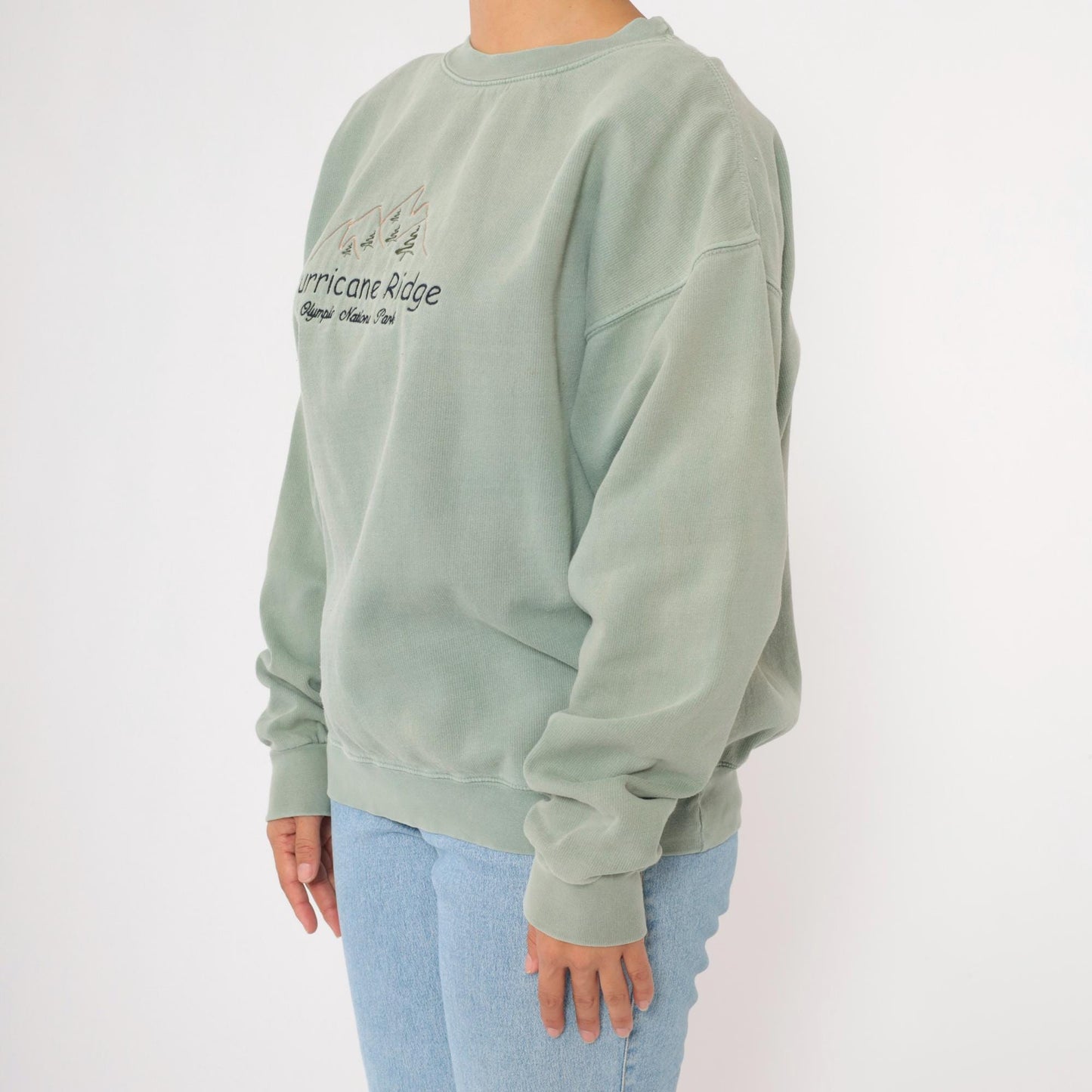 90s Olympic National Park Hurricane Ridge Sage Green Embroidered Sweatshirt Large