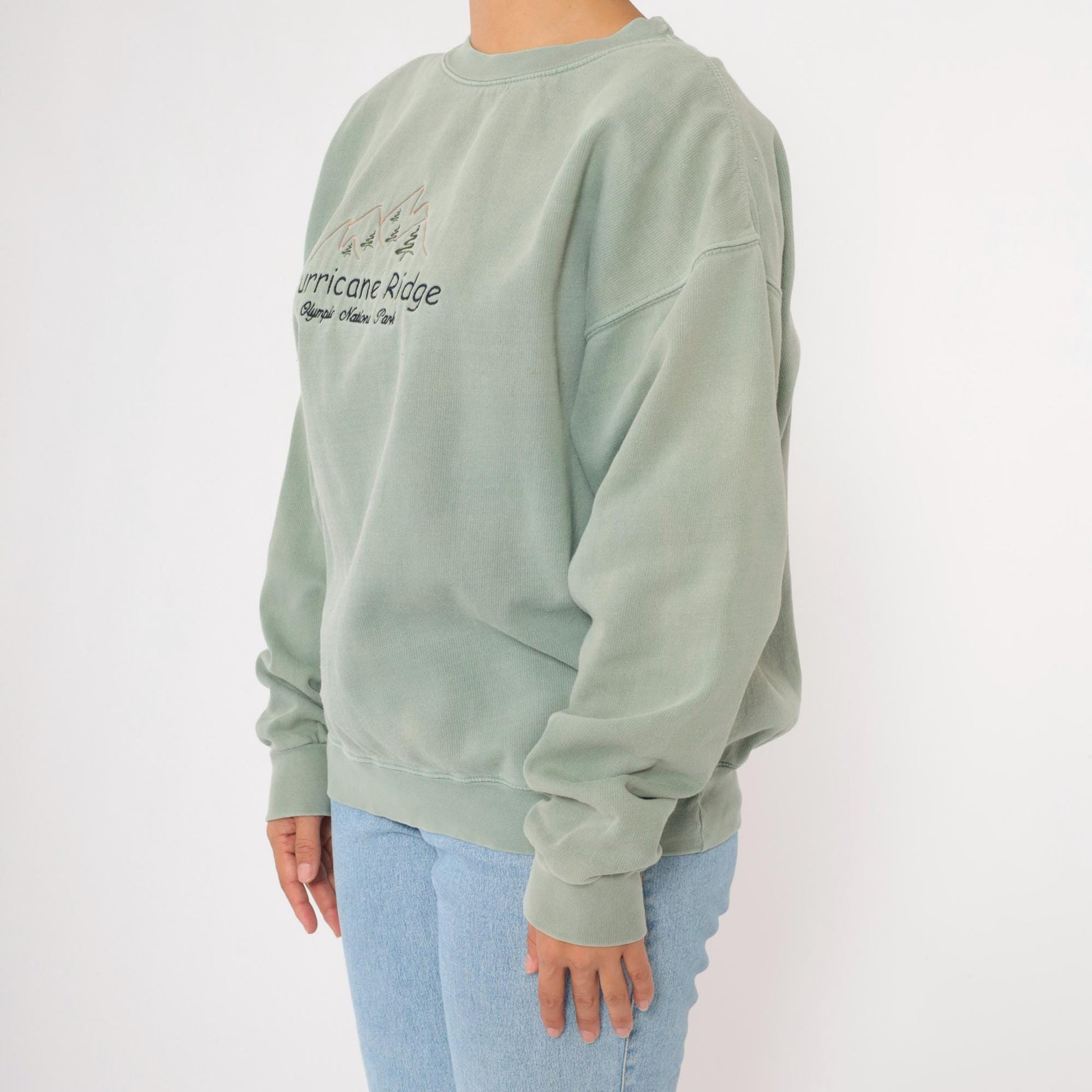 90s Olympic National Park Hurricane Ridge Sage Green Embroidered Sweatshirt Large