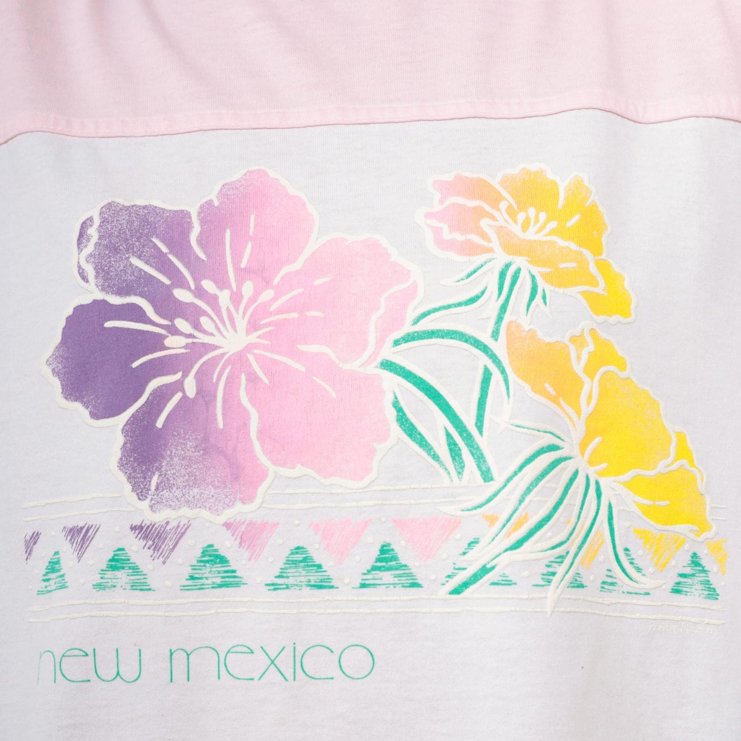 80s New Mexico Floral Ringer T-Shirt Baby Pink White Striped Graphic Tee Extra Large