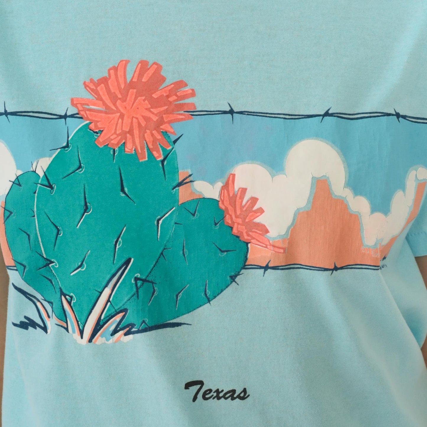 90s Texas Cactus Graphic T-Shirt Blue Single Stitch Crewneck Small