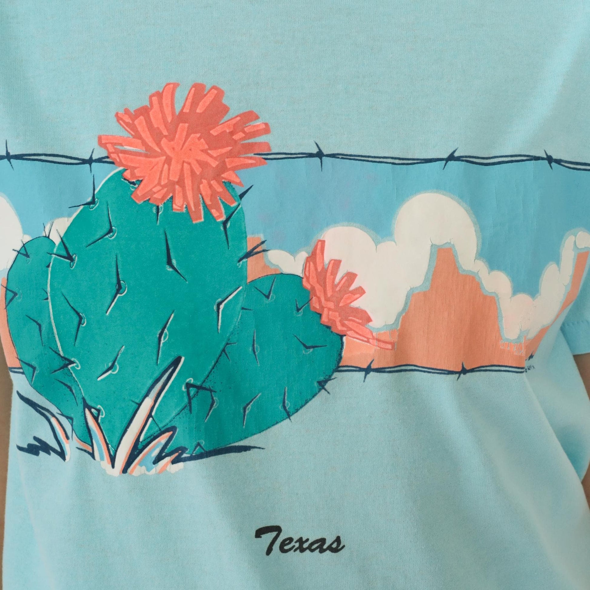 90s Texas Cactus Graphic T-Shirt Blue Single Stitch Crewneck Small