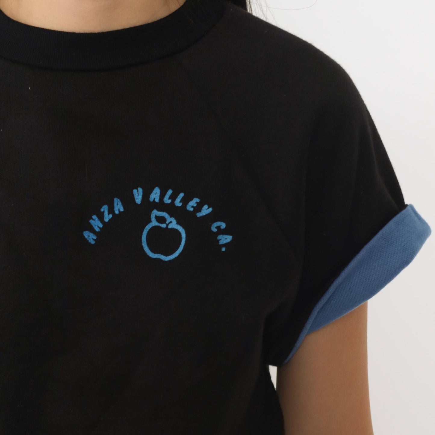 80s Anza Valley California Apple Graphic T-Shirt Black Cuffed Sleeve Small