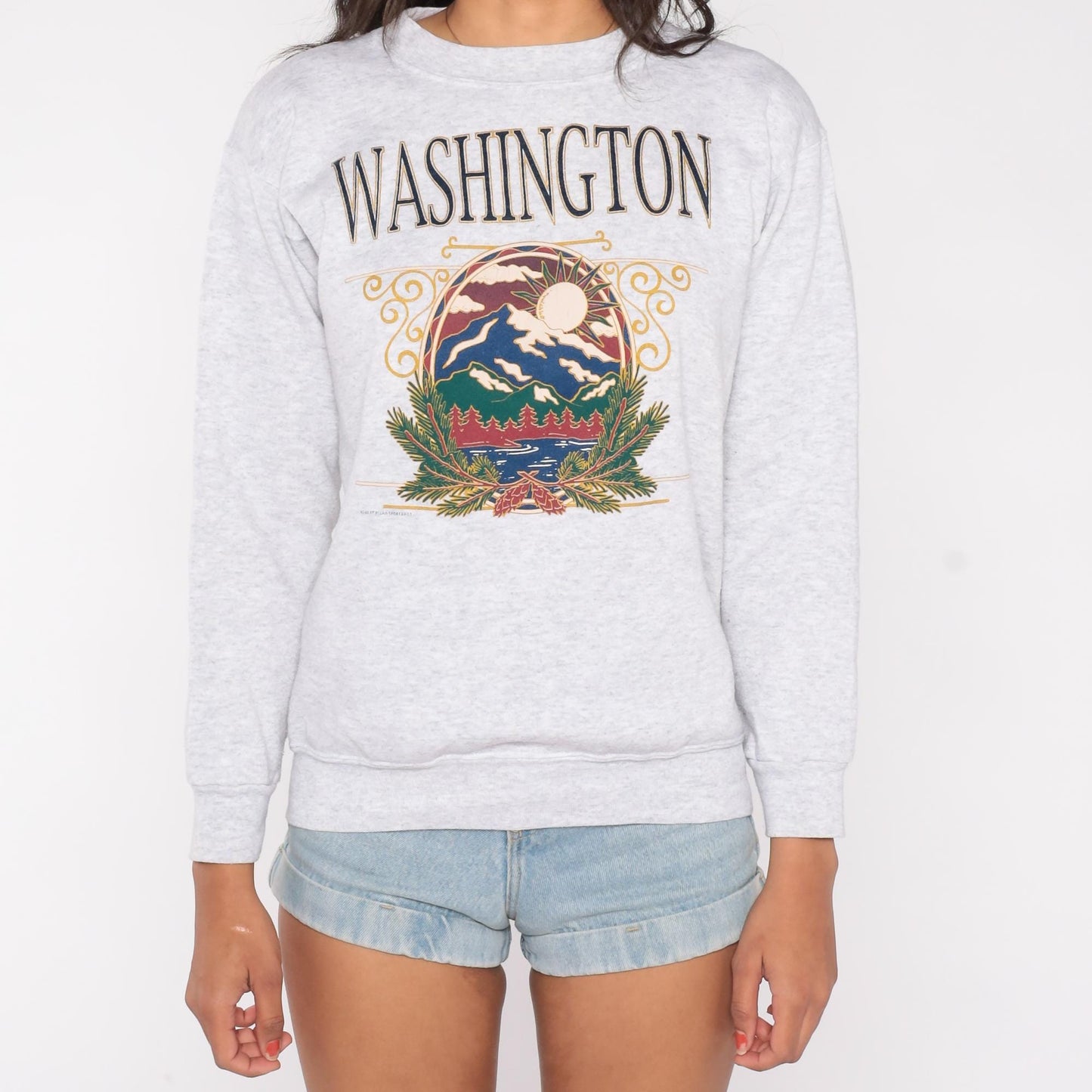 90s Murina Washington Graphic Sweatshirt Mountain Print Grey Small