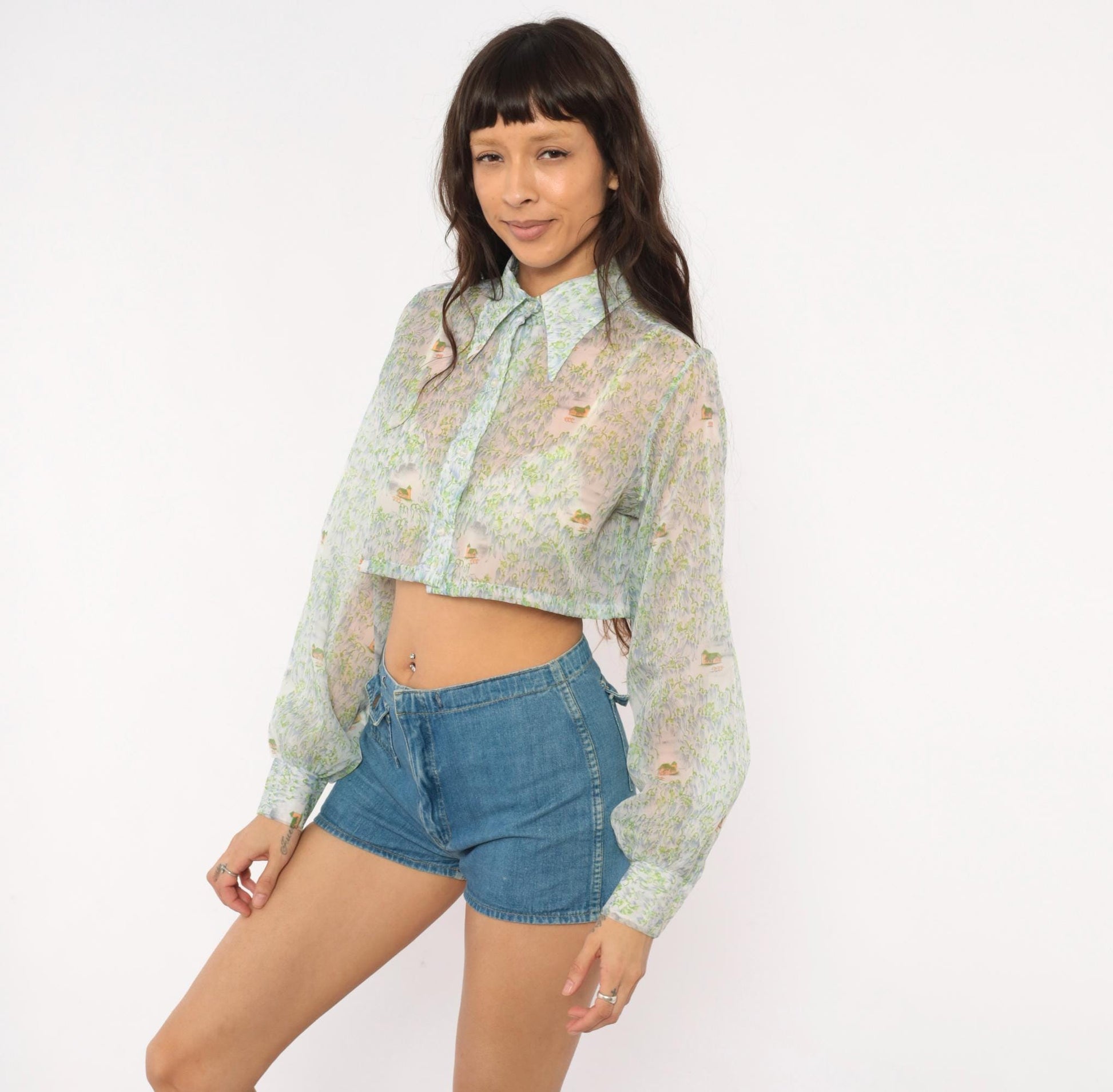 70s Tall Shop Cropped Sheer Blouse Pastoral Landscape Print Green Blue Small Medium