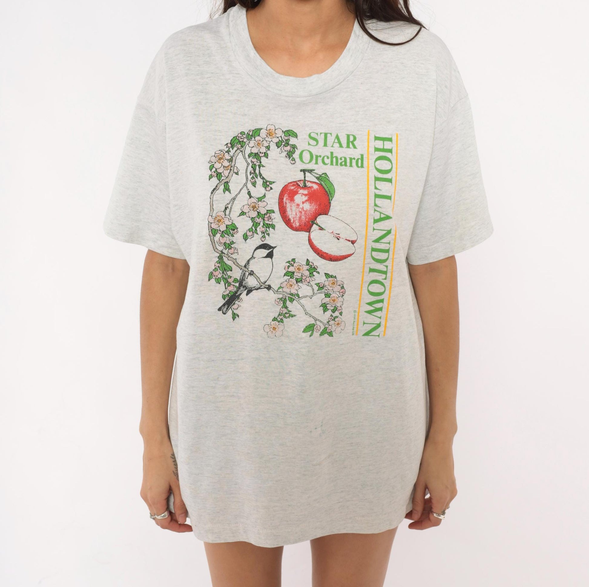 90s Screen Stars Best Apple Blossom Chickadee Graphic Tee Grey Extra Large XL