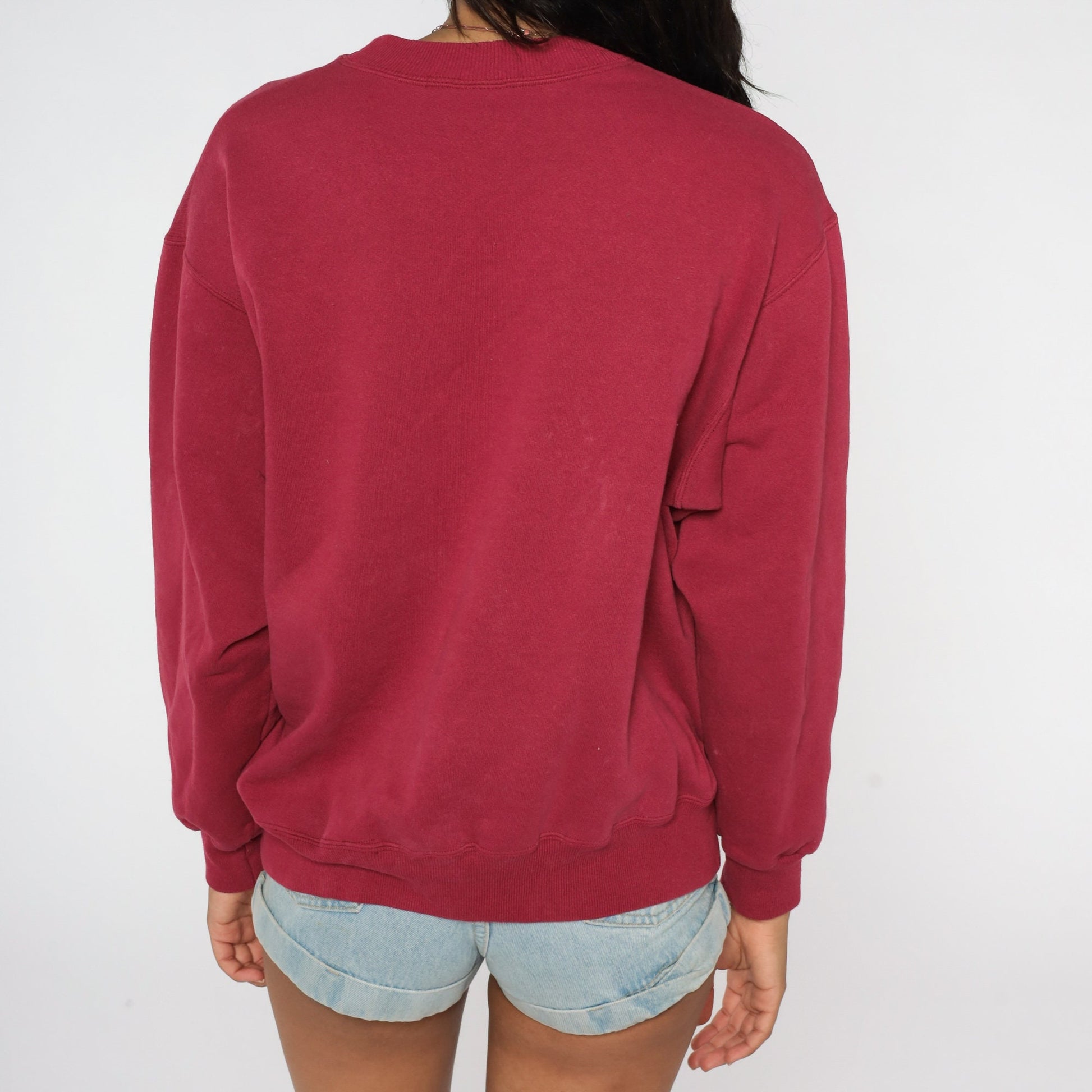 90s Lake Powell Arizona Utah Sweatshirt Red Buffalo Skull Graphic Large