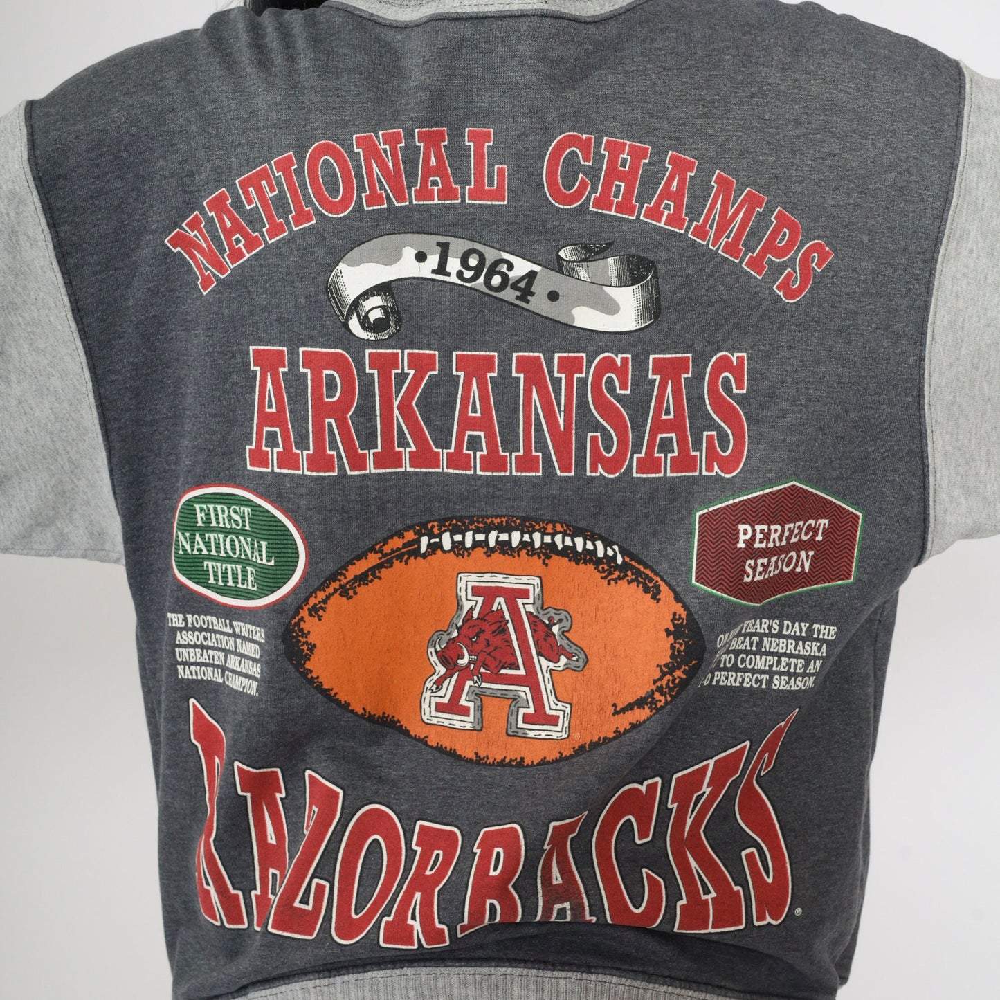 90s Arkansas Razorbacks National Champs Snap Jacket Grey Colorblock Large