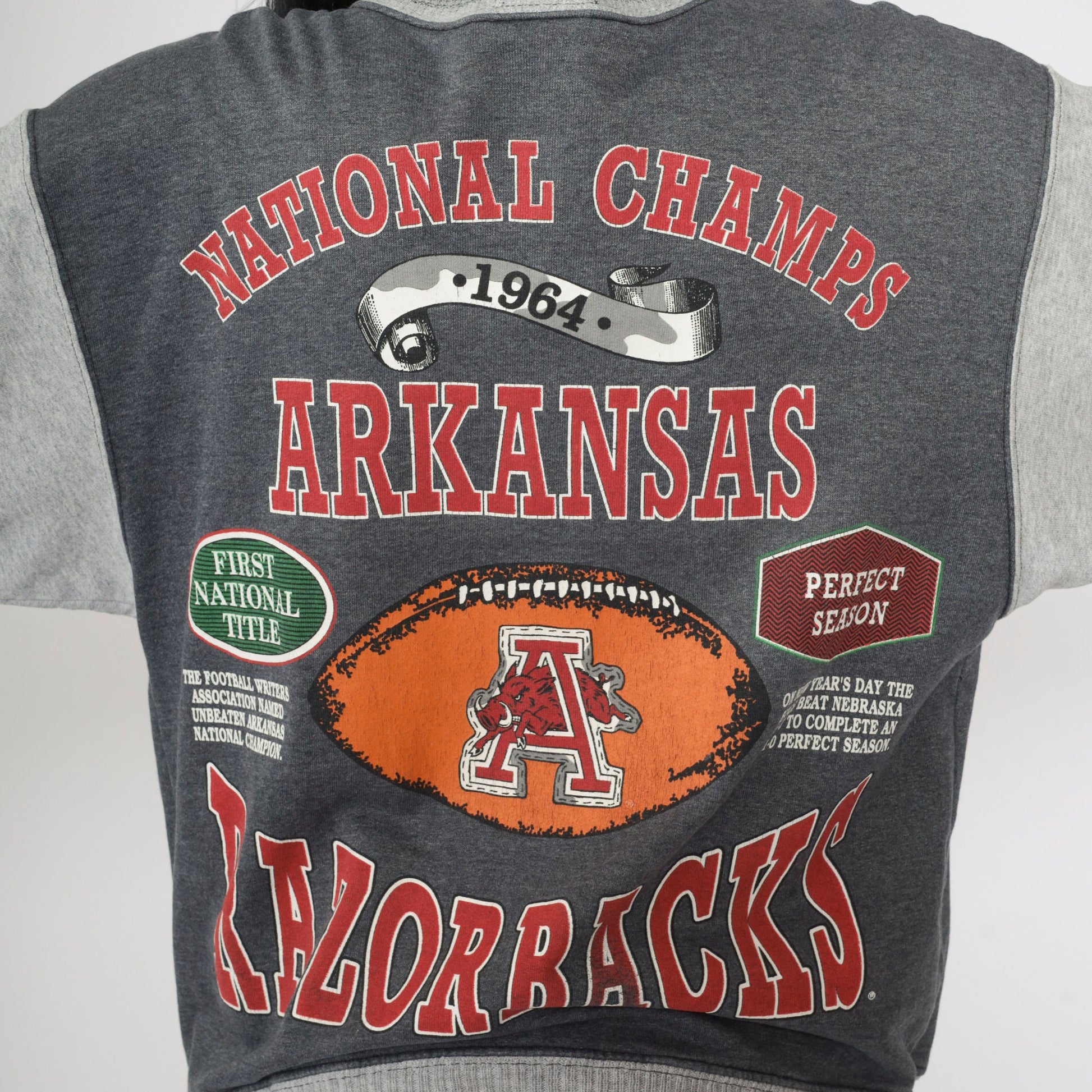 90s Arkansas Razorbacks National Champs Snap Jacket Grey Colorblock Large