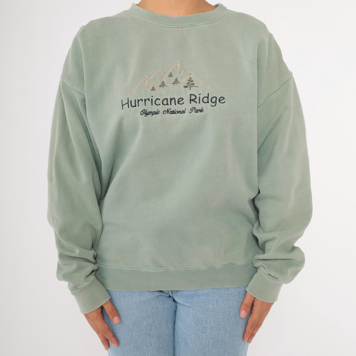90s Olympic National Park Hurricane Ridge Sage Green Embroidered Sweatshirt Large