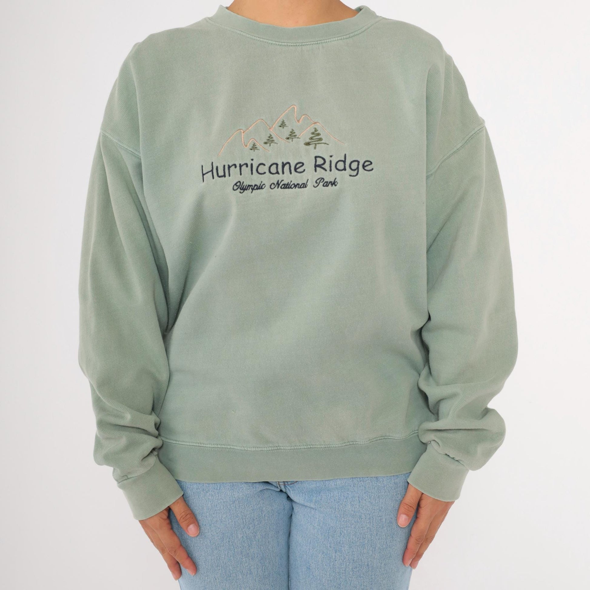 90s Olympic National Park Hurricane Ridge Sage Green Embroidered Sweatshirt Large
