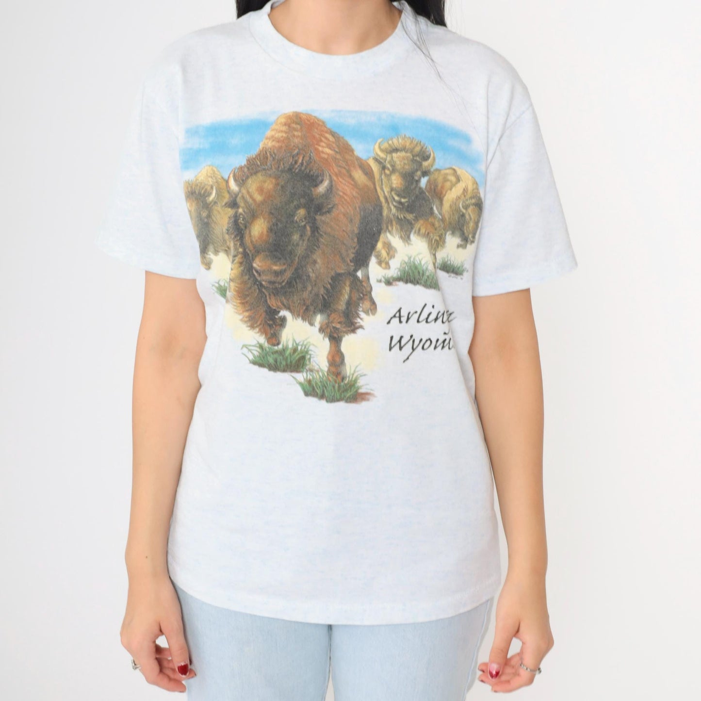 90s Buffalo Arlington Wyoming Graphic T-Shirt Flecked White Blue Small