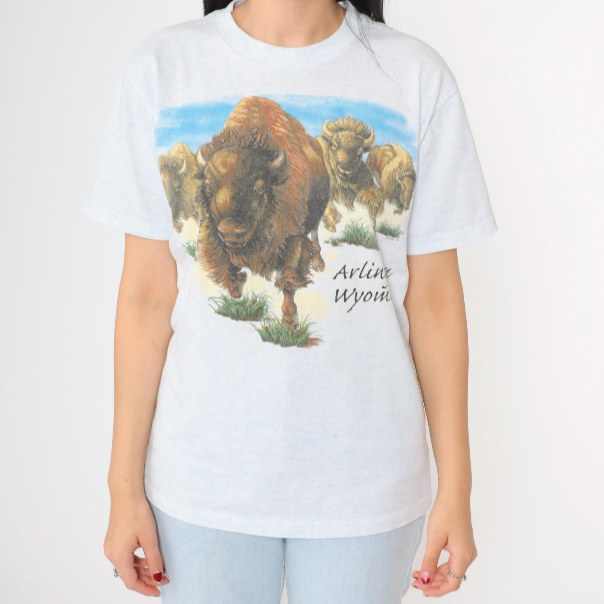 90s Buffalo Arlington Wyoming Graphic T-Shirt Flecked White Blue Small