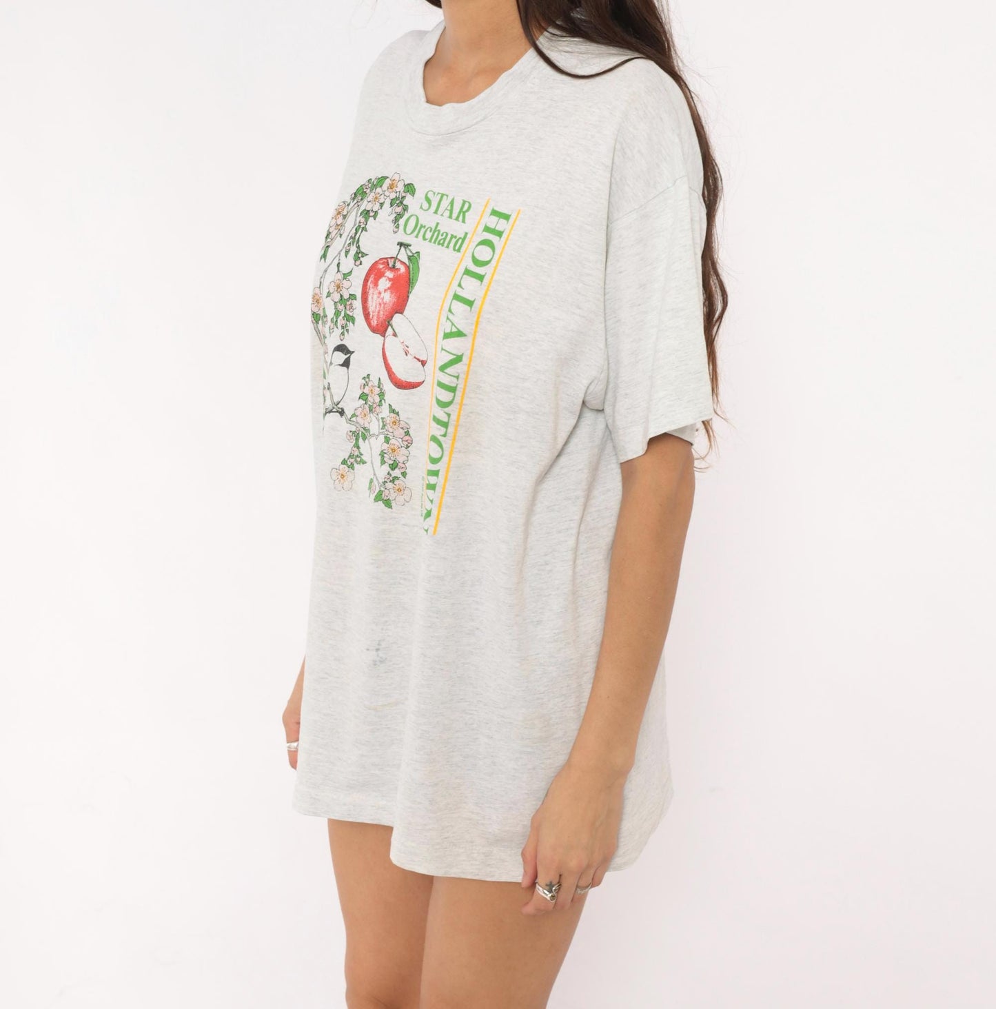 90s Screen Stars Best Apple Blossom Chickadee Graphic Tee Grey Extra Large XL