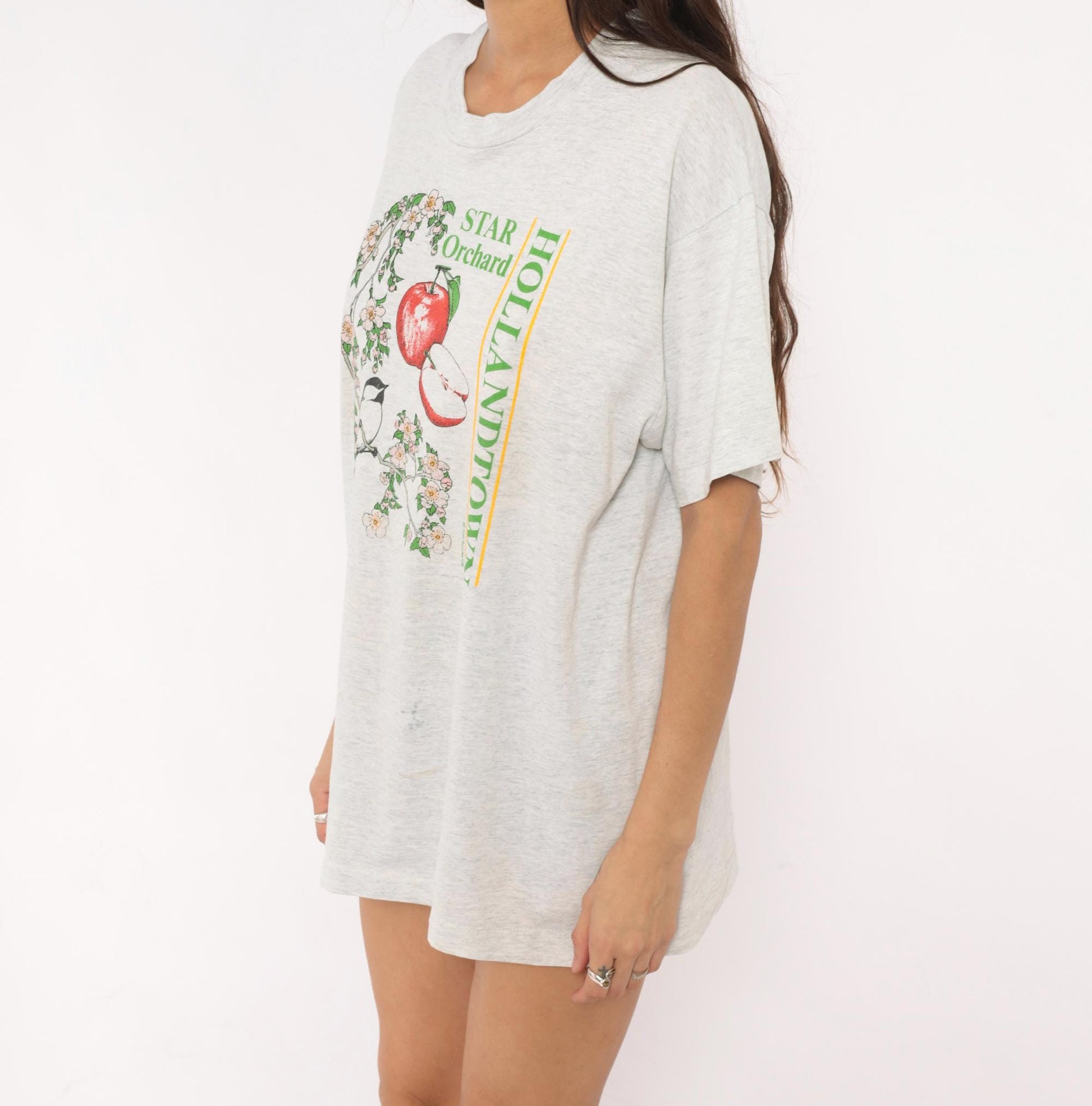 90s Screen Stars Best Apple Blossom Chickadee Graphic Tee Grey Extra Large XL