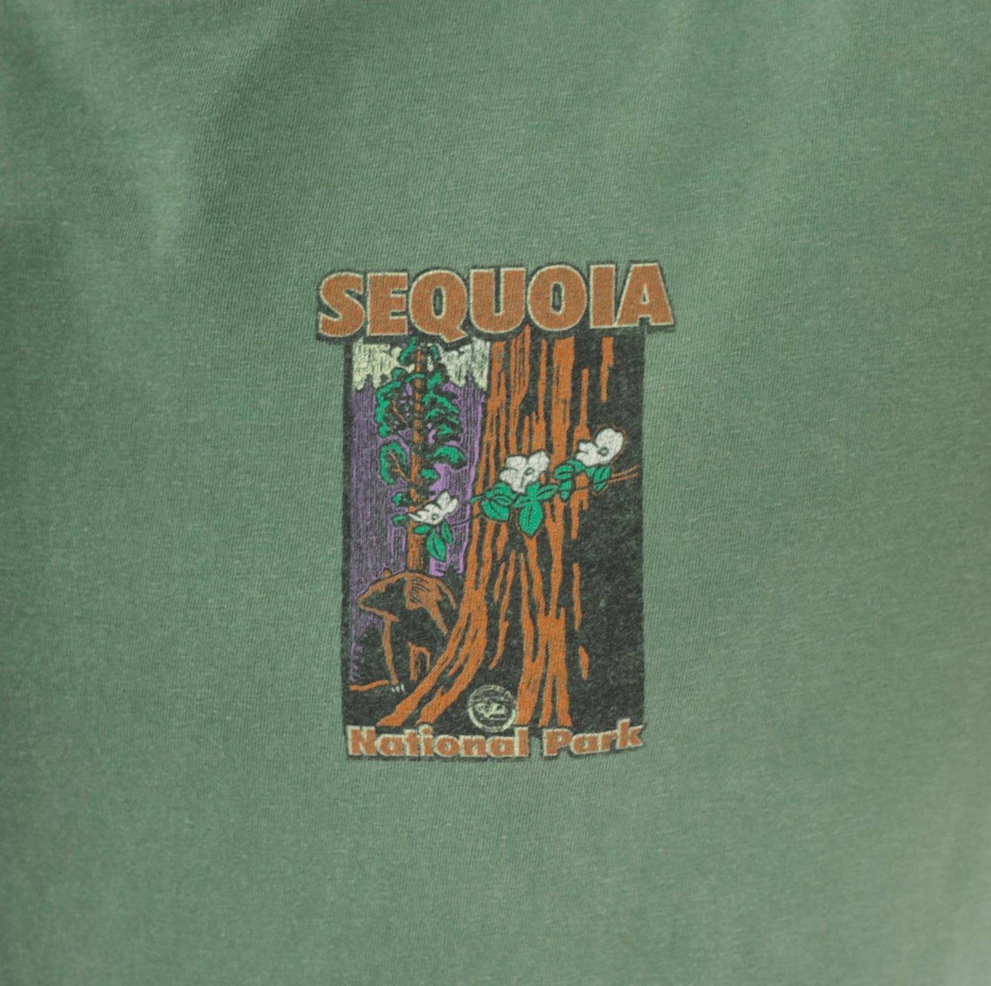 2000s Sequoia National Park Graphic Tee Sage Green Chroma Zone Medium