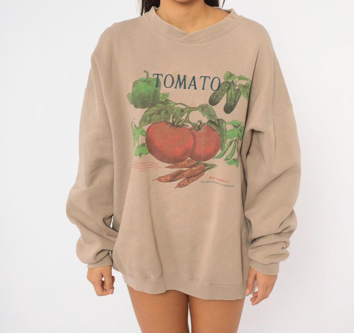 90s 5 Seasons Tomato Garden Vegetable Graphic Sweatshirt Tan Crewneck Large