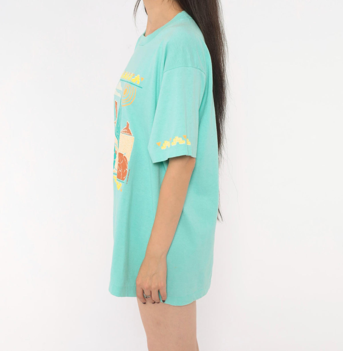 90s Screen Stars Desert Cactus Graphic Tee Seafoam Green Southwestern Extra Large XL