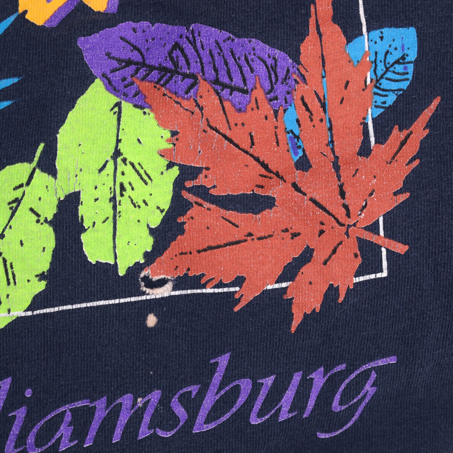 90s Busch Gardens Williamsburg Graphic Tee Navy Leaf Print Extra Large