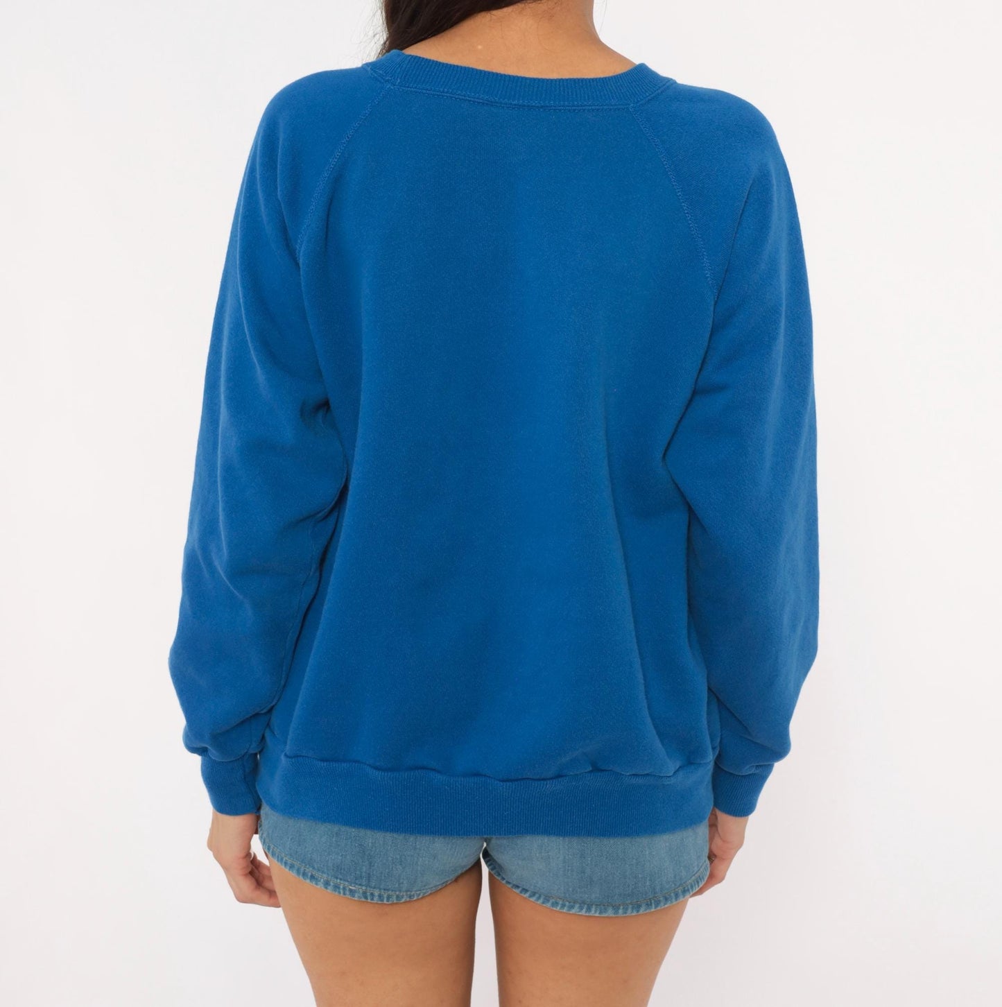80s Pannill Cobalt Raglan Sweatshirt Crewneck Pullover Blue Large L