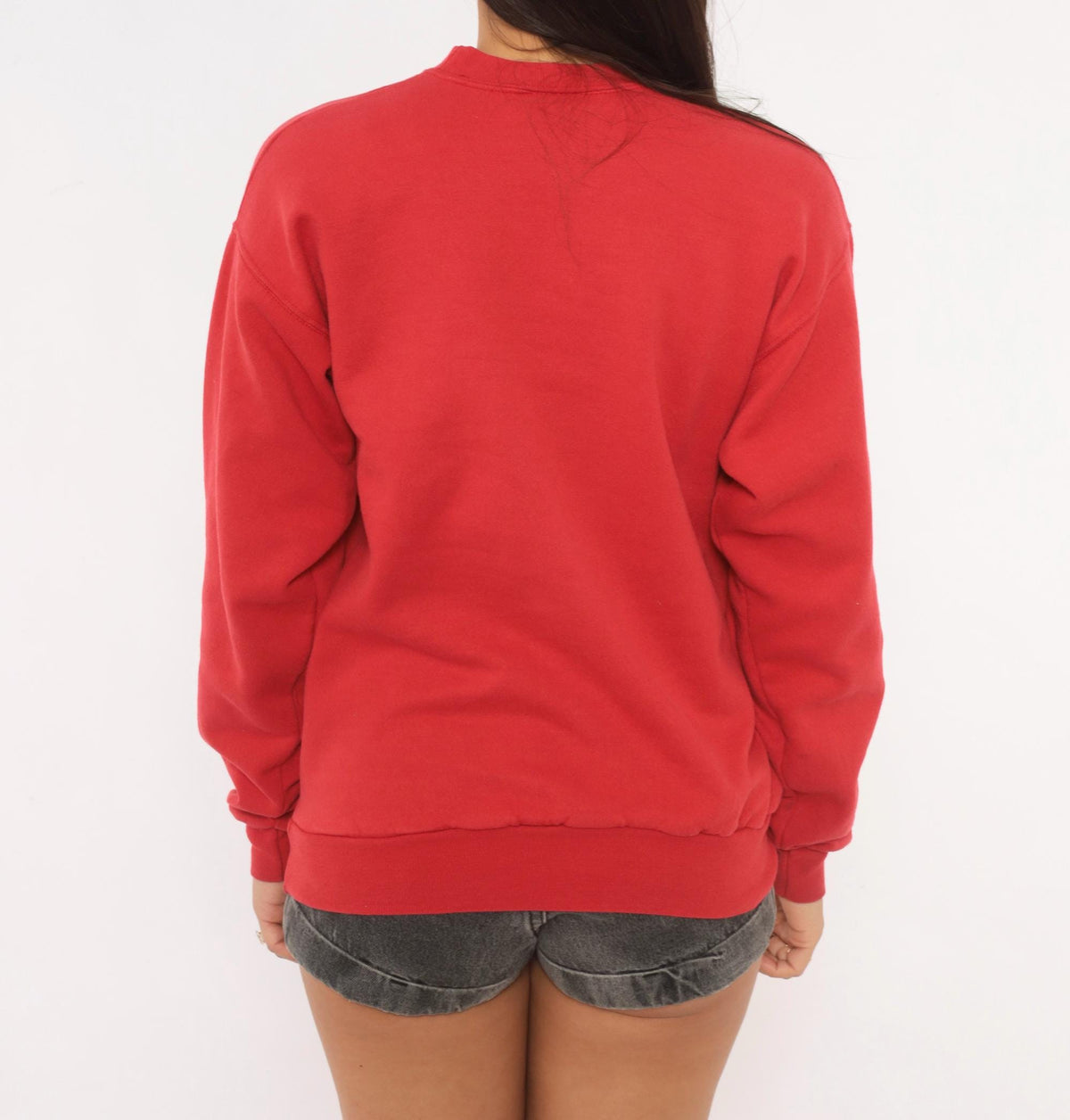 Y2K Red Horse Graphic Sweatshirt Rural King Appaloosa Crewneck Small