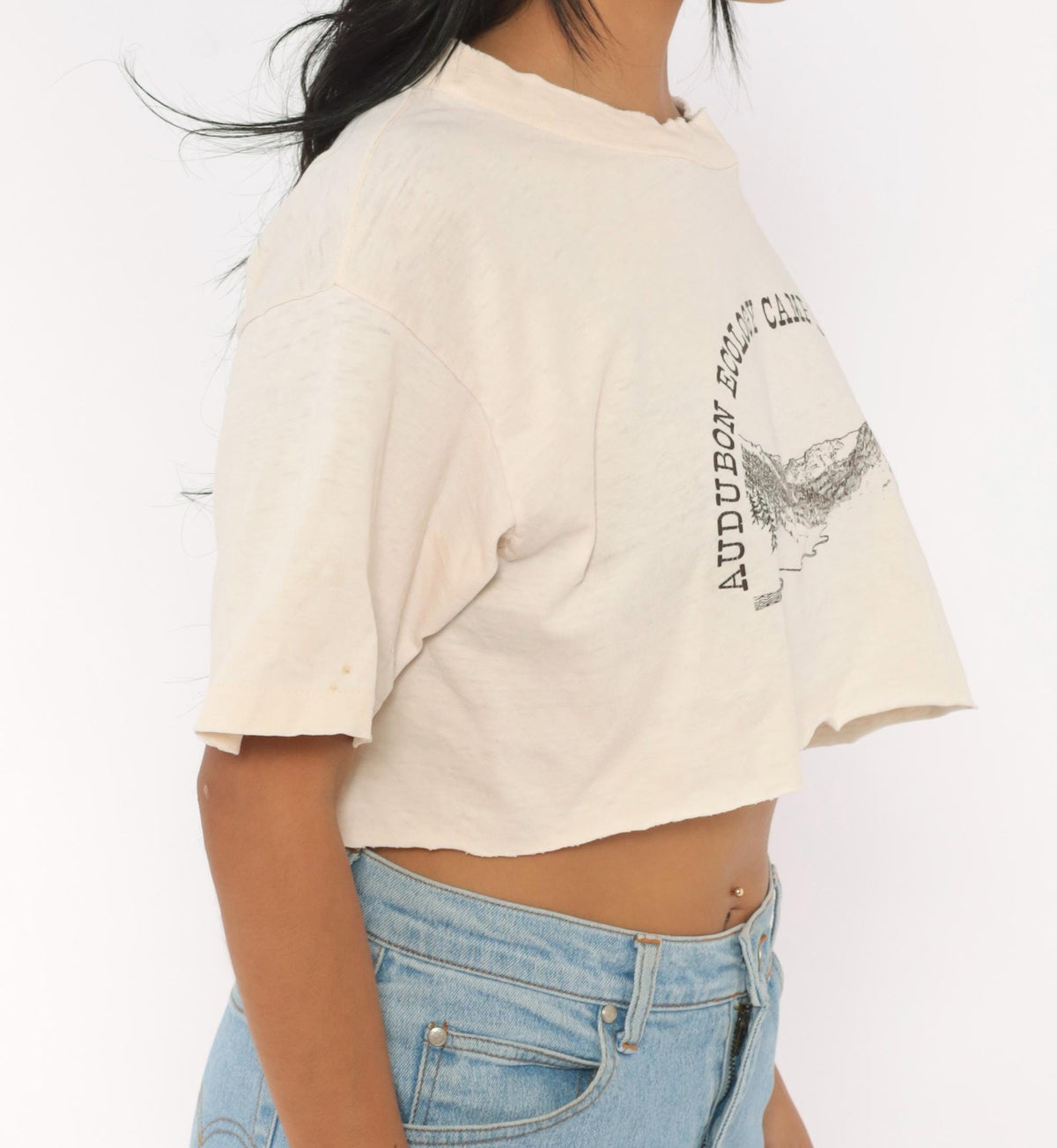90s Audubon Ecology Camp Mountain Pine Tree Graphic Crop Top Cream Small