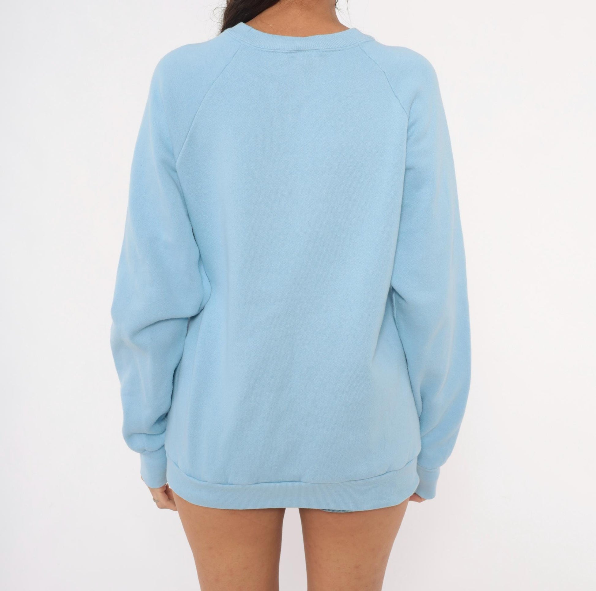 80s Fruit of the Loom Bay View Shade Inc Raglan Sweatshirt Powder Blue Large L