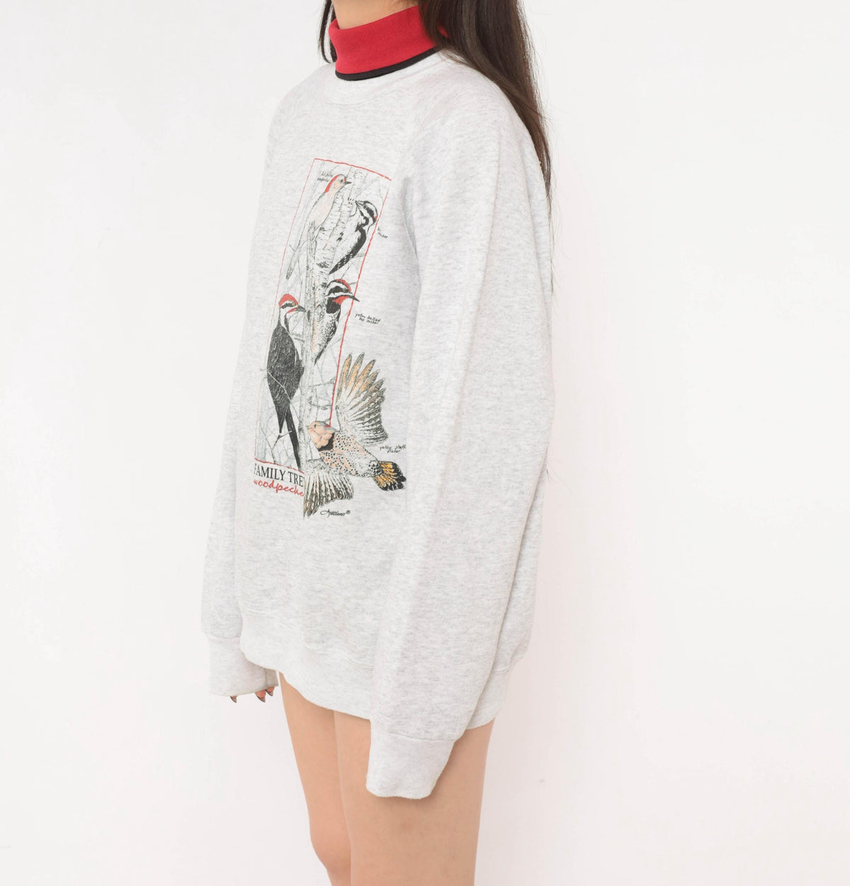 90s Lee Woodpecker Family Tree Sweatshirt Grey Cotton Blend Extra Large