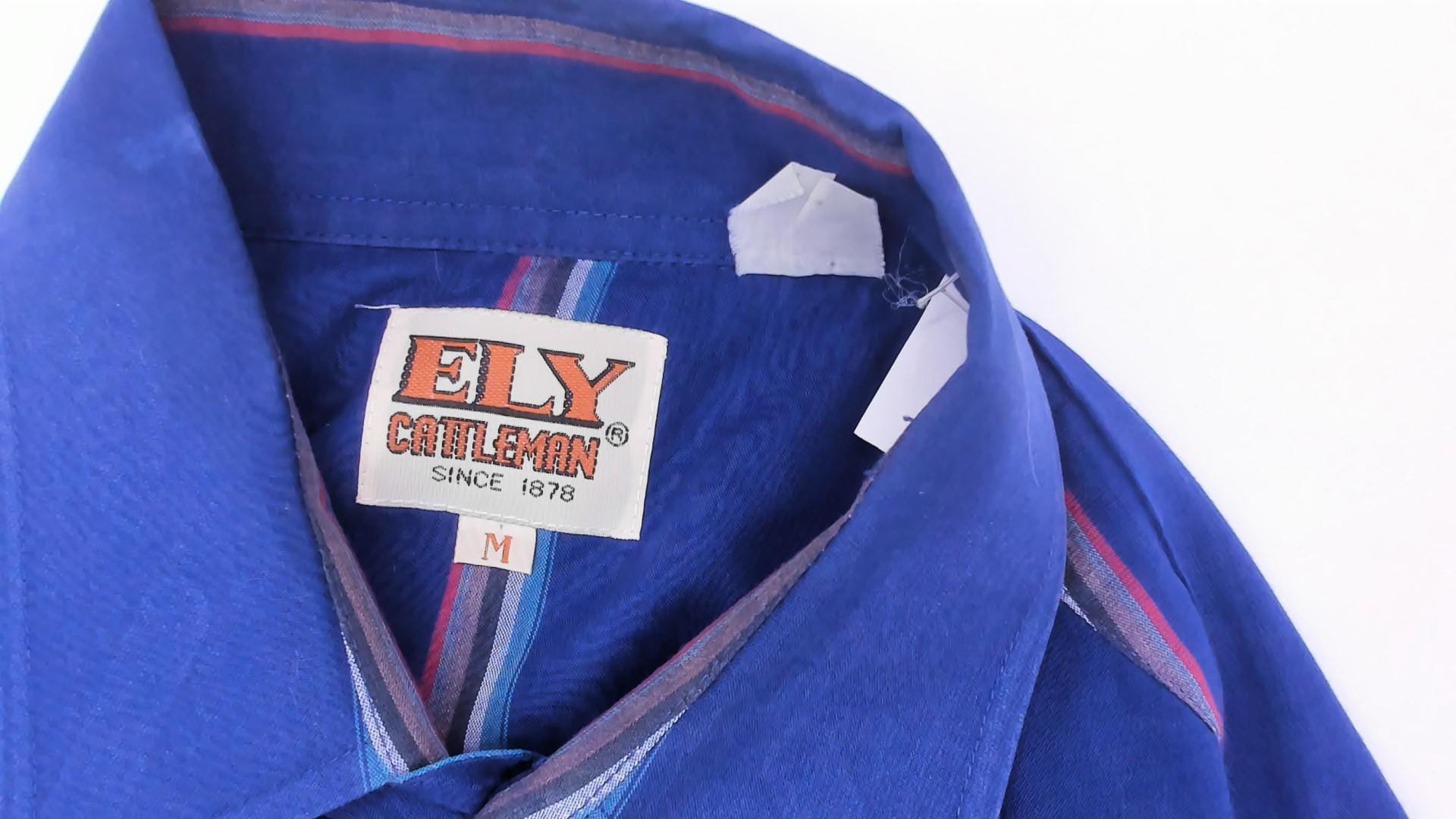 90s Ely Cattleman Western Snap Shirt Cobalt Blue Striped Pearl Button Medium M