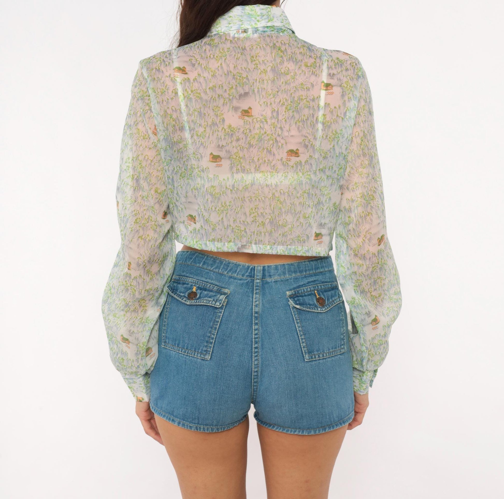 70s Tall Shop Cropped Sheer Blouse Pastoral Landscape Print Green Blue Small Medium