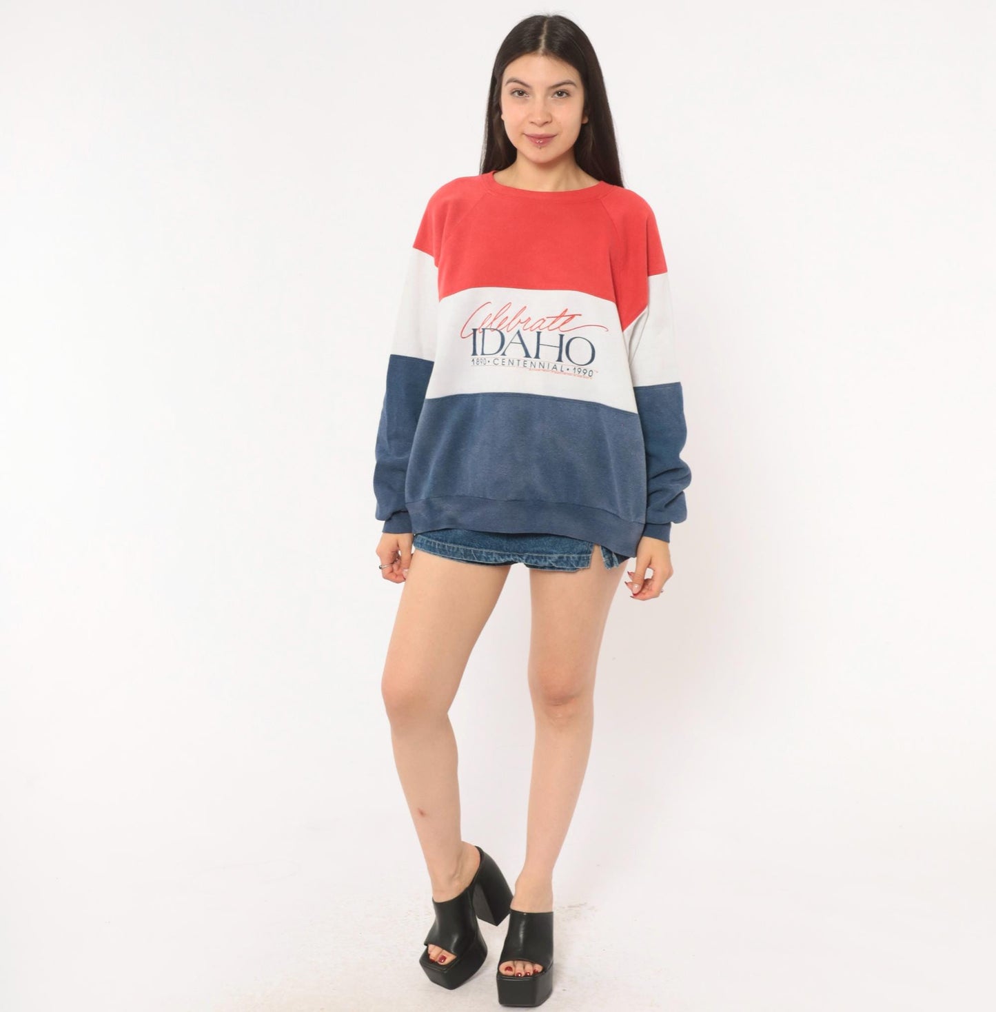 90s Rhoda Z Idaho Centennial Color Block Sweatshirt Red Navy Crewneck Medium