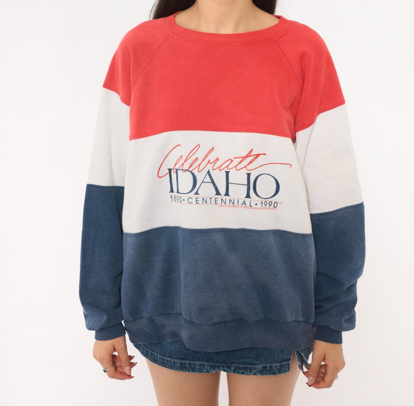 90s Rhoda Z Idaho Centennial Color Block Sweatshirt Red Navy Crewneck Medium