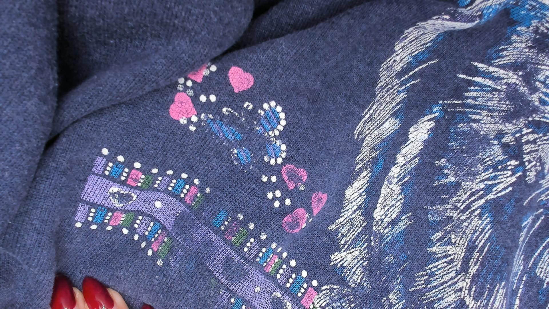 90s Hanes Cat Butterfly Sweatshirt Navy Blue Graphic Crewneck Raglan Large L