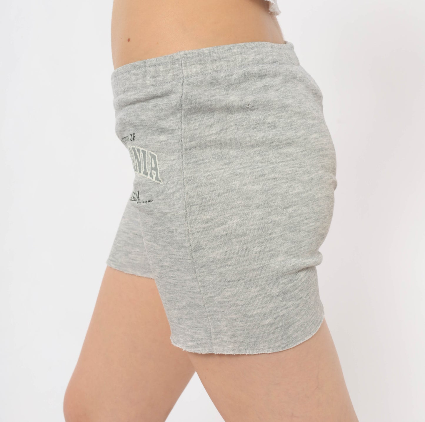 Champion Grey Sweat Shorts University Tasmania Cut Off Raw Hem Elastic Waist Athletic Cotton Ash Lounge Collegiate Preppy Casual Vintage Bottoms Small S