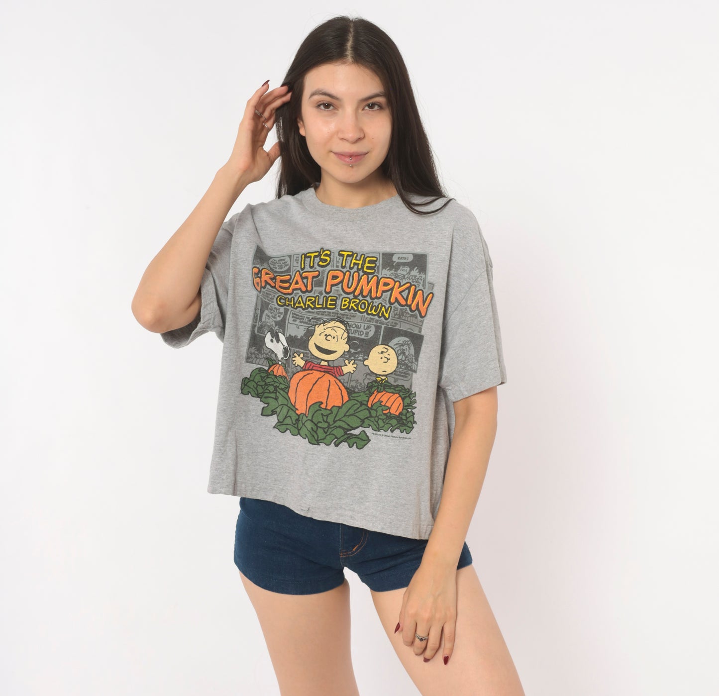 Peanuts Great Pumpkin Charlie Brown Tee Grey Cotton Halloween Snoopy Linus Comic Strip Shirt Boxy Ash Gray 2000s Short Sleeve Large L