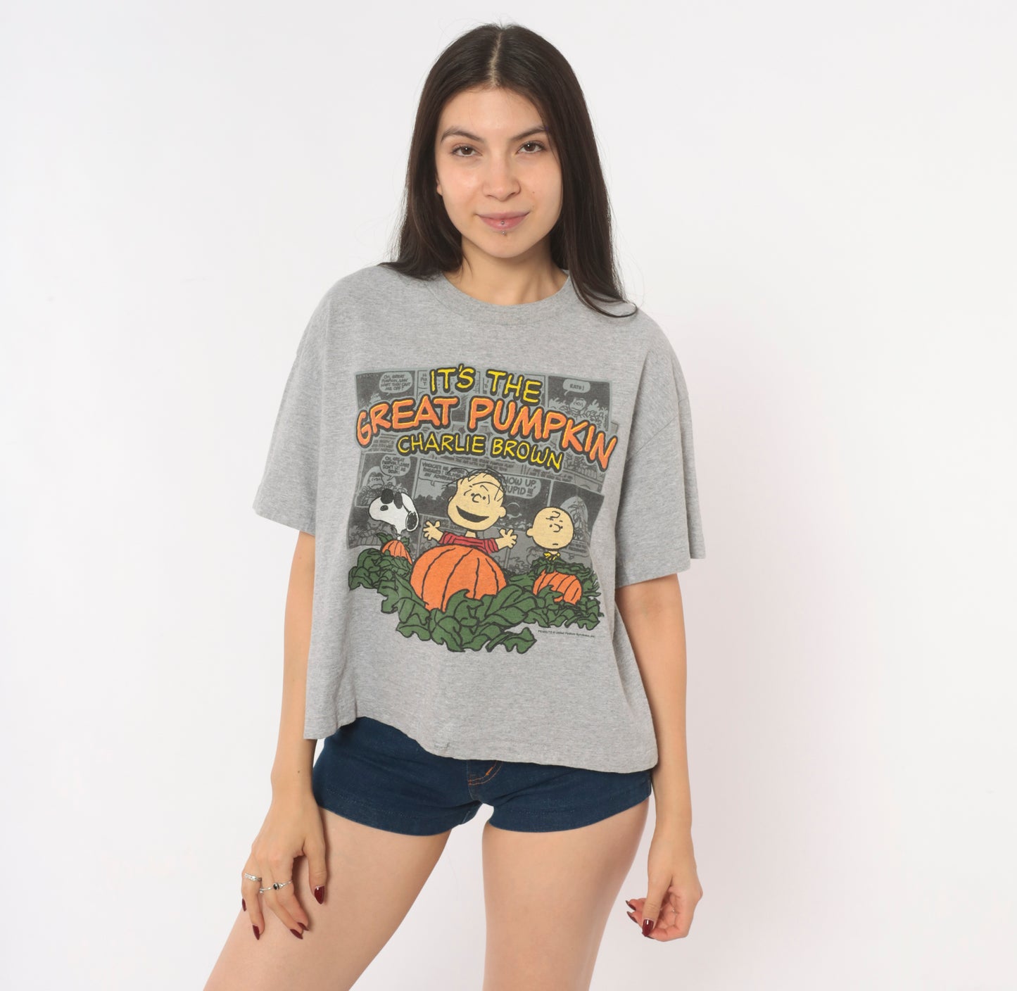 Peanuts Great Pumpkin Charlie Brown Tee Grey Cotton Halloween Snoopy Linus Comic Strip Shirt Boxy Ash Gray 2000s Short Sleeve Large L
