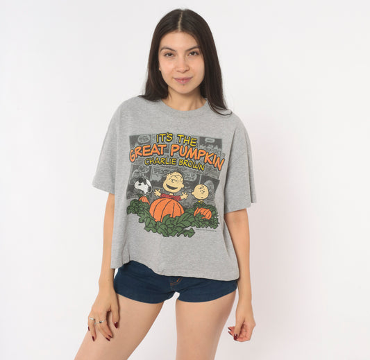 Peanuts Great Pumpkin Charlie Brown Tee Grey Cotton Halloween Snoopy Linus Comic Strip Shirt Boxy Ash Gray 2000s Short Sleeve Large L