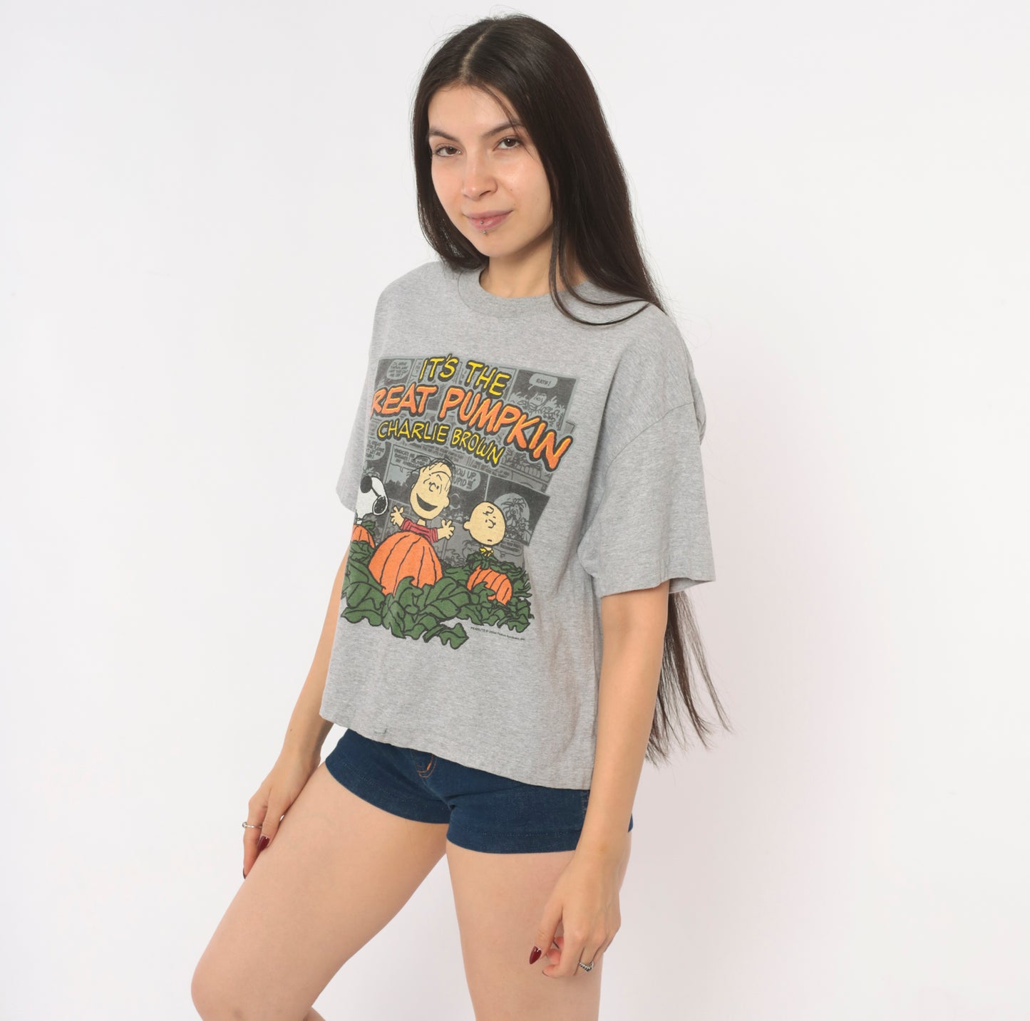 Peanuts Great Pumpkin Charlie Brown Tee Grey Cotton Halloween Snoopy Linus Comic Strip Shirt Boxy Ash Gray 2000s Short Sleeve Large L
