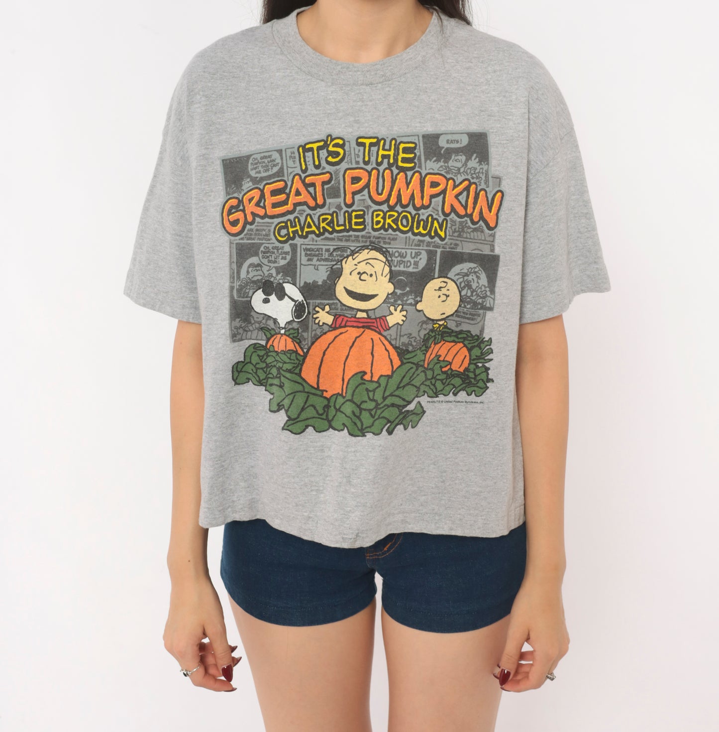 Peanuts Great Pumpkin Charlie Brown Tee Grey Cotton Halloween Snoopy Linus Comic Strip Shirt Boxy Ash Gray 2000s Short Sleeve Large L