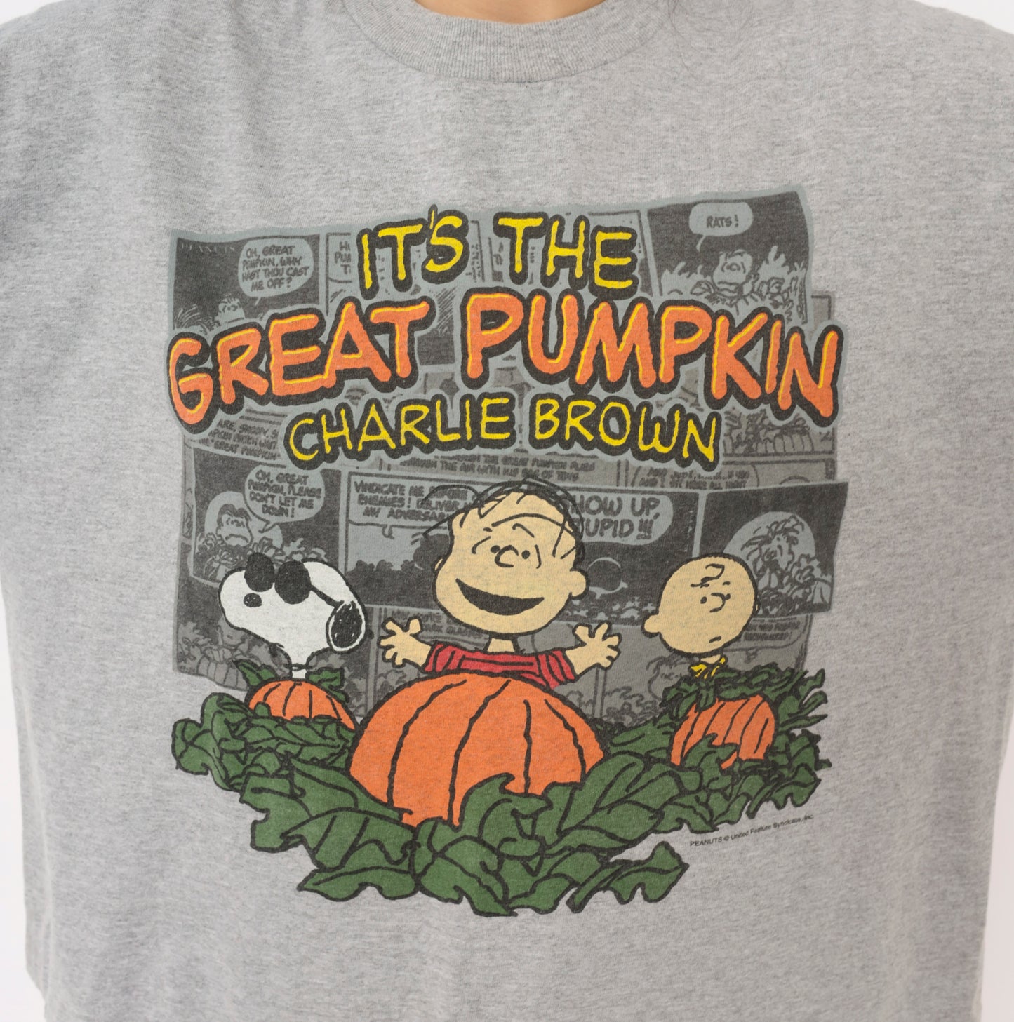 Peanuts Great Pumpkin Charlie Brown Tee Grey Cotton Halloween Snoopy Linus Comic Strip Shirt Boxy Ash Gray 2000s Short Sleeve Large L