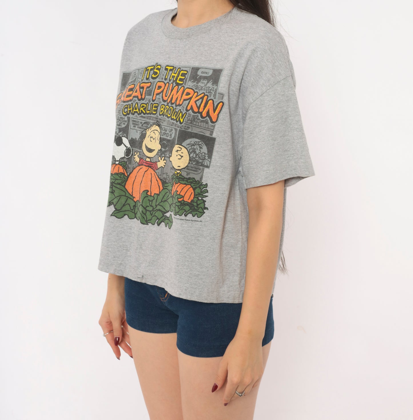 Peanuts Great Pumpkin Charlie Brown Tee Grey Cotton Halloween Snoopy Linus Comic Strip Shirt Boxy Ash Gray 2000s Short Sleeve Large L