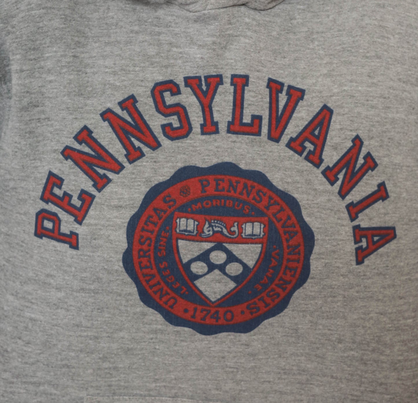 Y2K Pennsylvania University Hoodie Grey Pullover Sweatshirt Russell Athletic Crest Pocket Collegiate Preppy League Ash Hooded Top Medium M