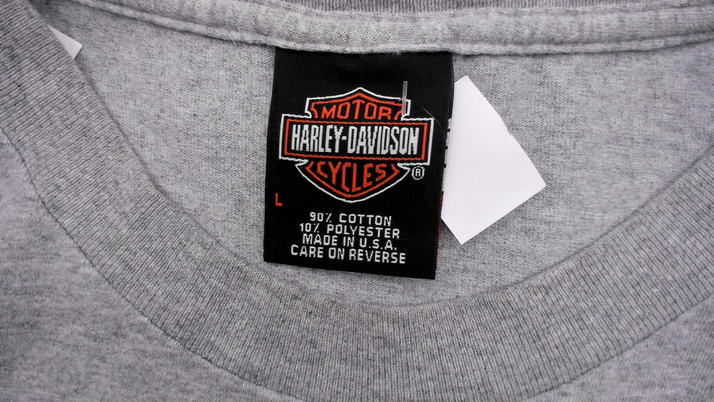Harley Davidson Flames Sleeveless Tee 2004 Grey Motorcycle Biker Cut Off Tank Gray Cotton Distressed Grunge Muscle Shirt Vintage Large L