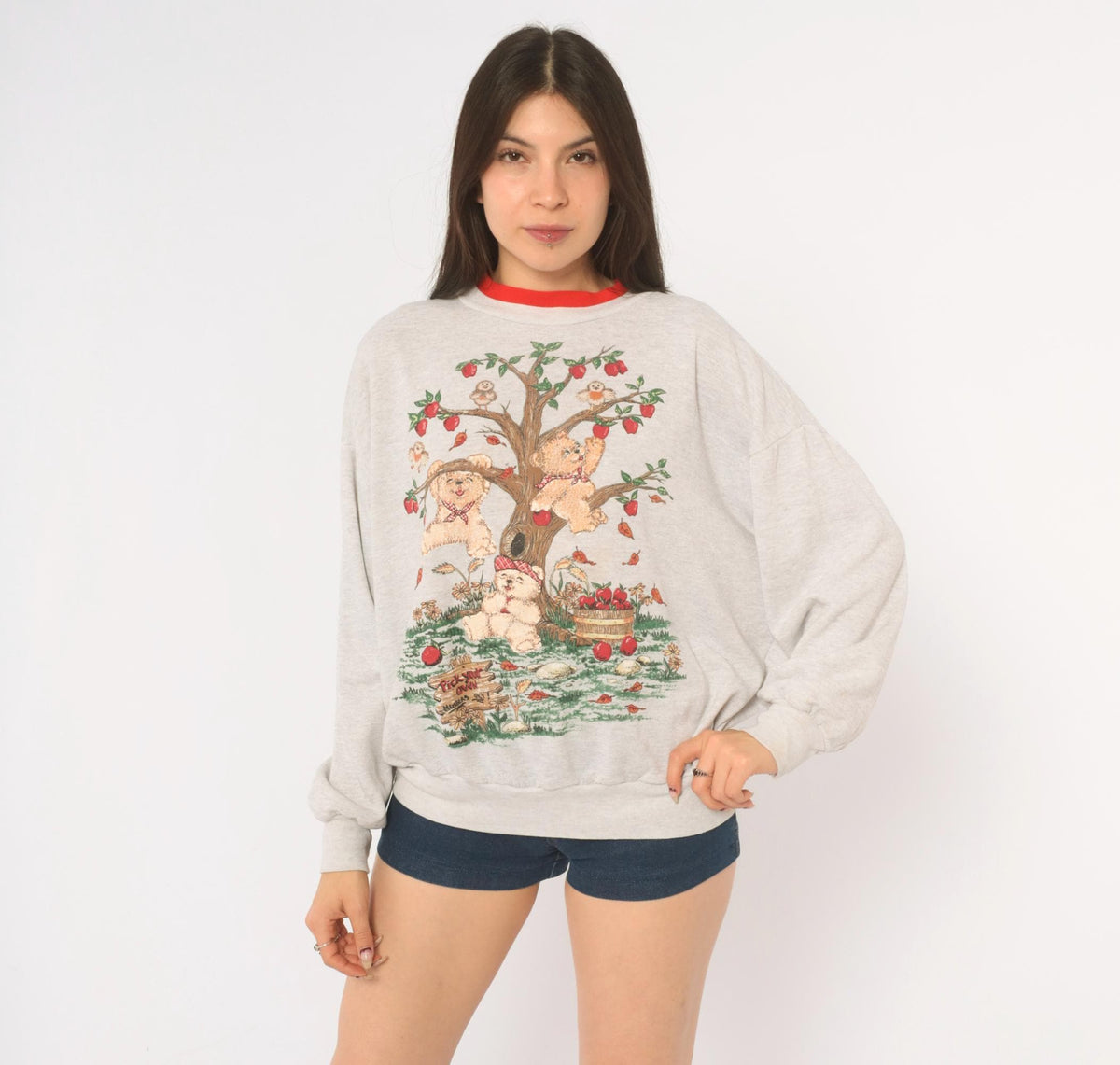 90s Basic Editions Teddy Bear Apple Tree Sweatshirt Grey Raglan Large L